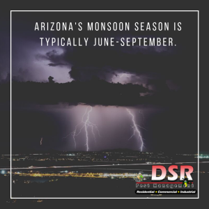 Monsoon Season Pests DSR JPG